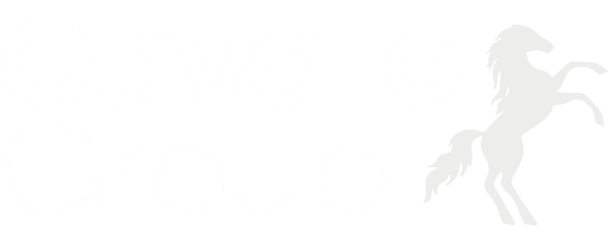 Cavallo Group - Carrozzerie Industriali Home